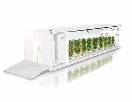Aeropod -with vegitation -1.jpg